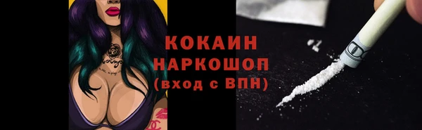 твердый Медногорск