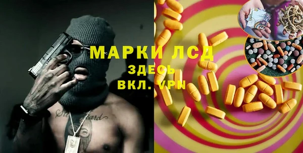 spice Инсар