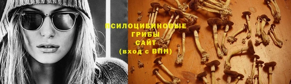 mdpv Михайлов