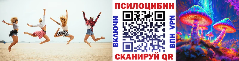 купить закладку  Кологрив  Псилоцибиновые грибы прущие грибы 